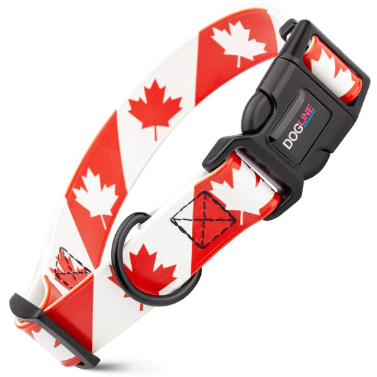 DOGLINE Biothane Waterproof Quick Release Dog Collars - Strong Collar Odor-Proof Easy to Care Fits Dog Collars for Medium Dogs (Canada 3/4" W by 12-19" L)